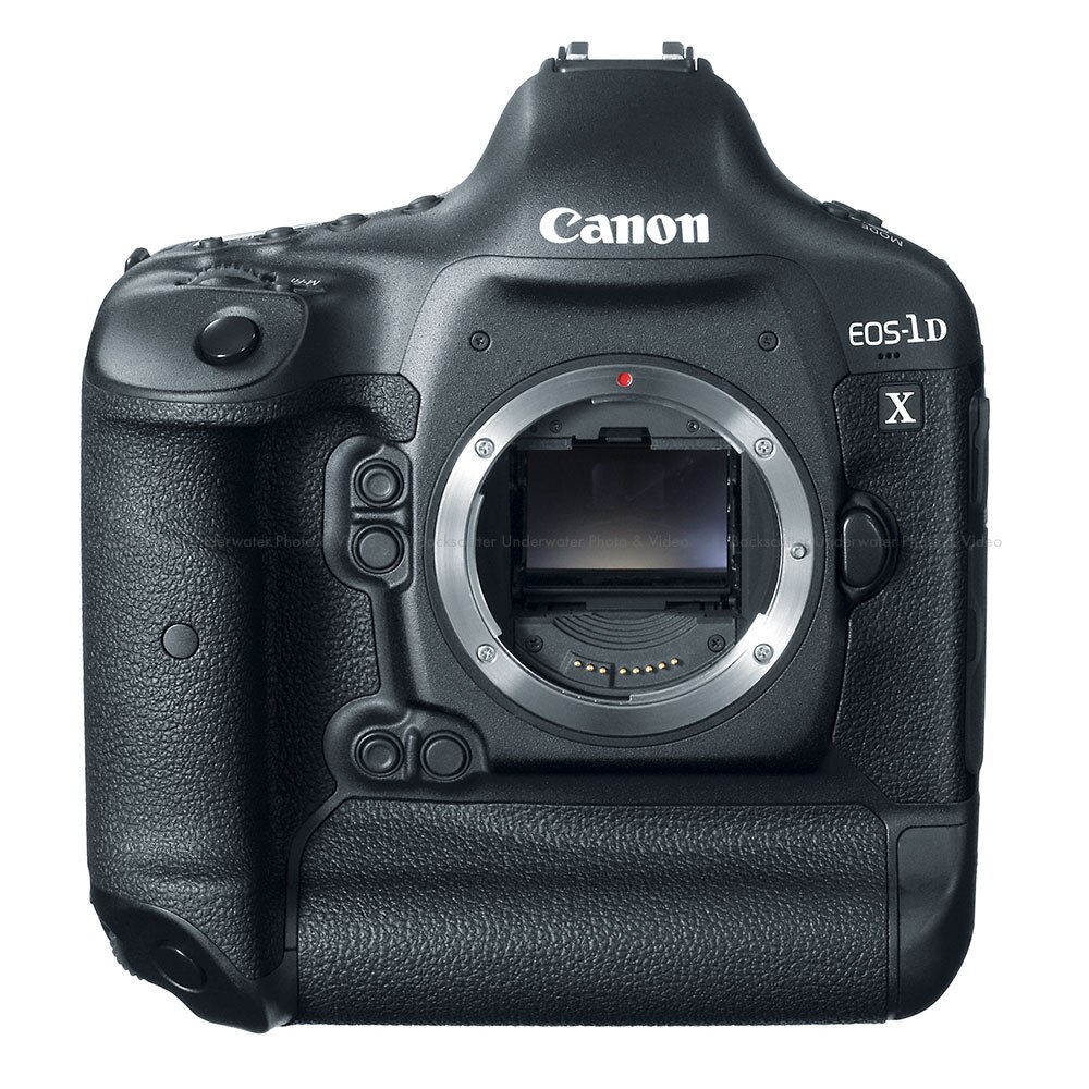 canon 1dx mark ii harga