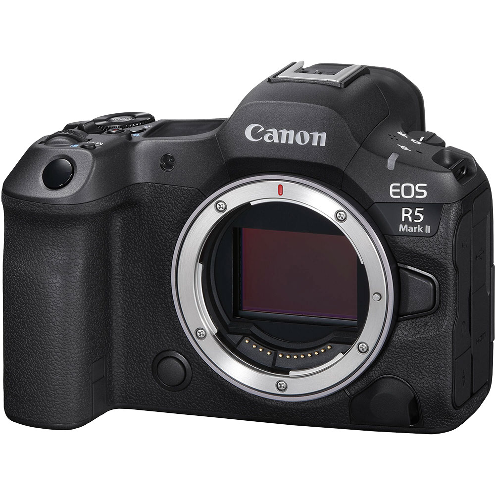 Canon Mirrorless offers camera