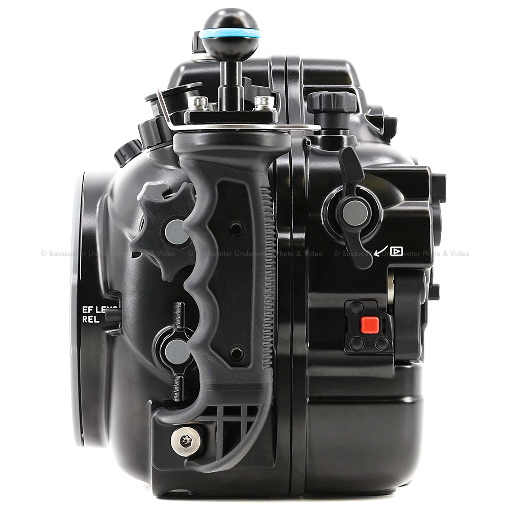 panasonic s1h underwater housing