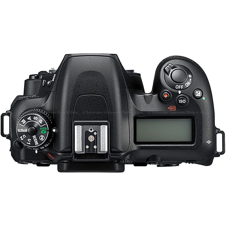 Nikon D7500 DX SLR Camera