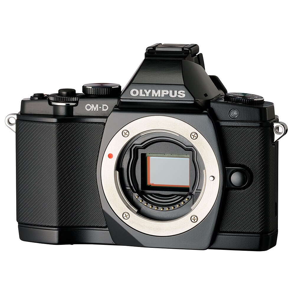 Olympus OM-D E-M5 Camera with 12-50mm f3.5/5.6 Power Zoom Lens