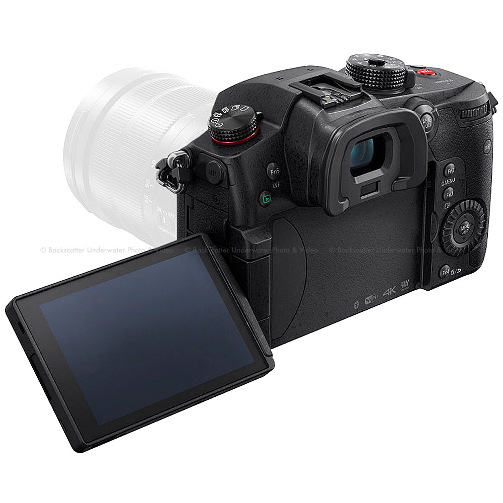 Panasonic LUMIX GH5s C4K Mirrorless ILC Camera Body