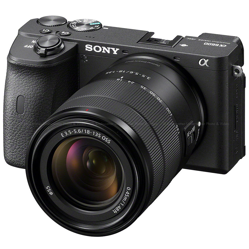 Sony a6600 Mirrorless Camera