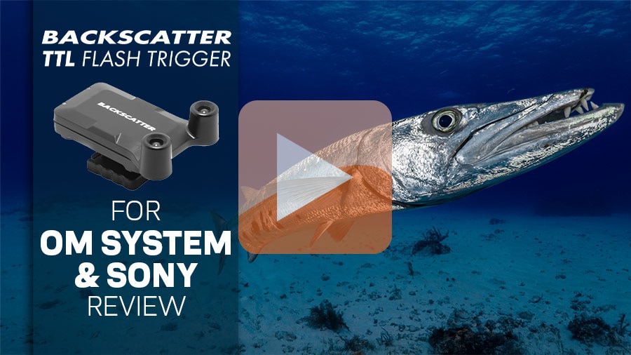 Watch Our Full Review of the Backscatter Smart Control Optical TTL Flash Trigger