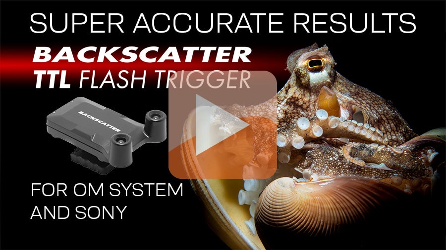 Promo Smash Cut of the Backscatter Smart Control Optical TTL Flash Trigger