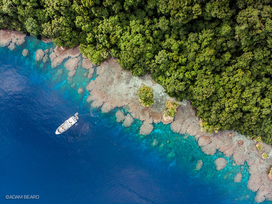 Iron Bottom Sound - Solomon Islands