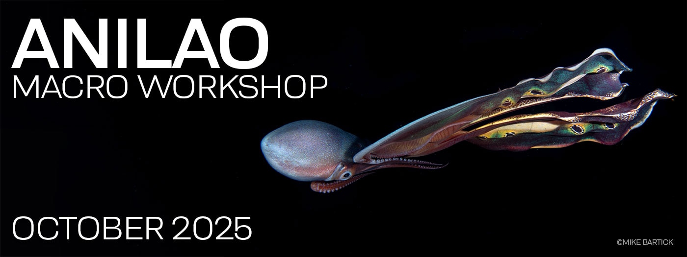 Macro & Blackwater Underwater Photography Workshop – Crystal Blue Resort – Anilao Philippines – October 12-22, 2025