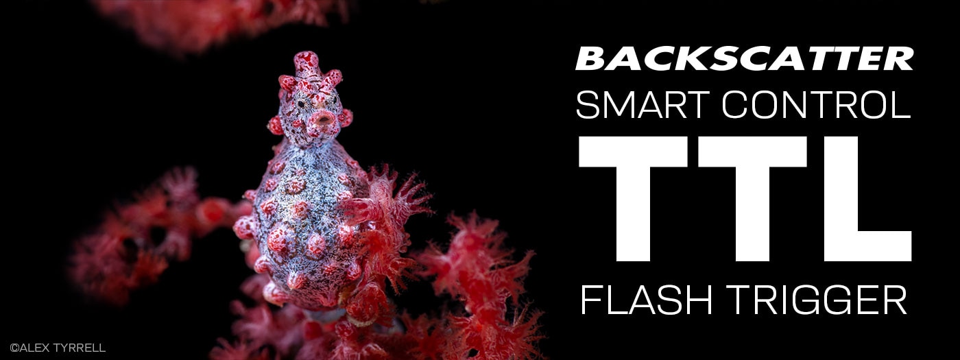 Backscatter Smart Control Optical TTL Flash Trigger Review & Setup Guide