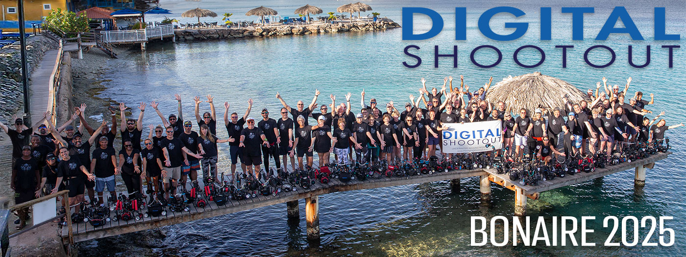 Join Us At the 2025 Digital Shootout in Bonaire - June 14-28, 2025