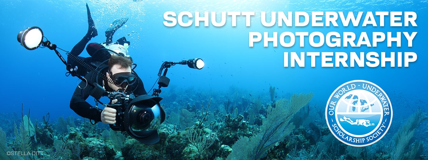 Our World Underwater Scholarship Society Paul L. Schutt Photography Internship