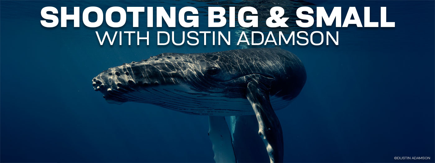 Interviews with the Pros: Shooting Subjects Big and Small with Dustin Adamson