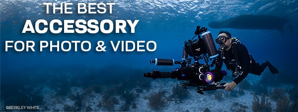 What Is The Best Accessory For Underwater Photography & Video?