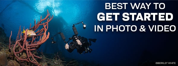 What Is The Best Way To Get Started In Underwater Photo & Video?