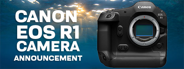 Canon EOS R1 Mirrorless Camera & Underwater Housing Announcement