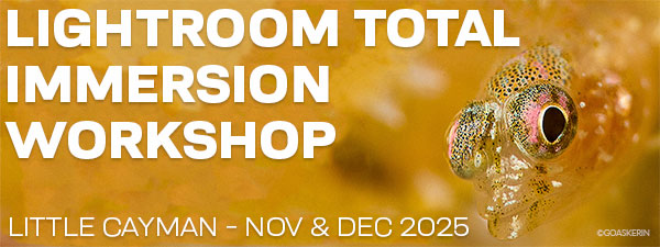 Lightroom Total Immersion Workshop -Nov 29-Dec 6 & Dec 6-13, 2025