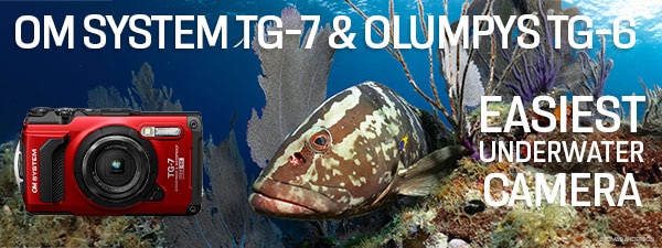 OM System TG-7 & Olympus TG-6 Review: The Easiest Underwater Compact Camera