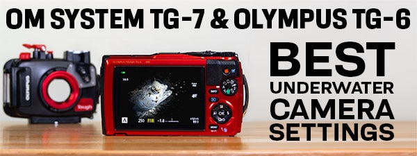 OM System TG-7 & Olympus TG-6 Best Underwater Camera Settings