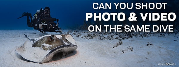 Can You Shoot Underwater Photo & Video On The Same Dive?