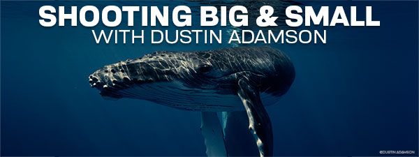 Interviews with the Pros: Shooting Subjects Big and Small with Dustin Adamson