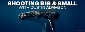 Interviews with the Pros: Shooting Subjects Big and Small with Dustin Adamson